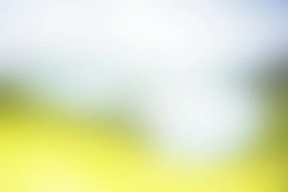 포켓윈 카지노 지원